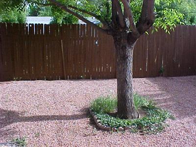 4895 E Broken Bow Dr, Flagstaff, AZ 86004 photo 5