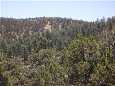 8920 E Beasley, Flagstaff, AZ 86004 photo 20