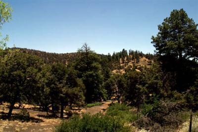 8920 E Beasley, Flagstaff, AZ 86004 photo 23