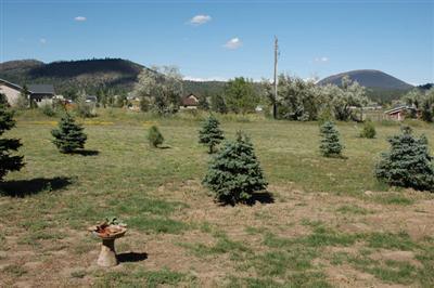 5615 E Atkinson Rd, Flagstaff, AZ 86004 photo 12