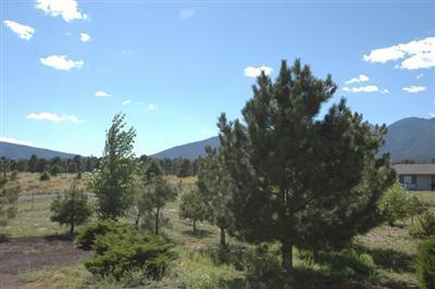 5615 E Atkinson Rd, Flagstaff, AZ 86004 photo 10