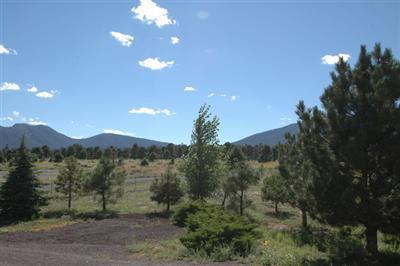 5615 E Atkinson Rd, Flagstaff, AZ 86004 photo 9