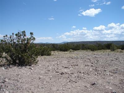 2955 W Whitetail Loop, Williams, AZ 86046 photo 5