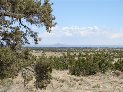 2955 W Whitetail Loop, Williams, AZ 86046 photo 1