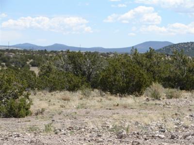 2955 W Whitetail Loop, Williams, AZ 86046 photo 7