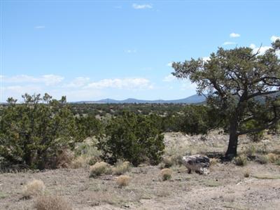 2955 W Whitetail Loop, Williams, AZ 86046 photo 3