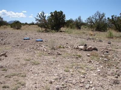 2955 W Whitetail Loop, Williams, AZ 86046 photo 6
