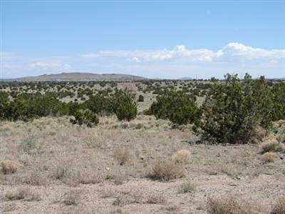 2955 W Whitetail Loop, Williams, AZ 86046 photo 4
