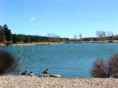 6426 Willow Loop, Flagstaff, AZ 86004 photo 28