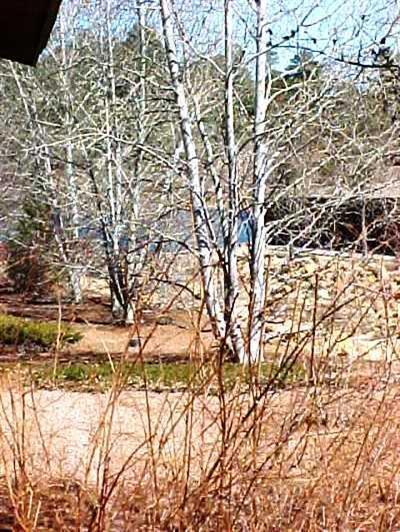 6426 Willow Loop, Flagstaff, AZ 86004 photo 24