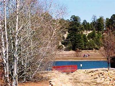 6426 Willow Loop, Flagstaff, AZ 86004 photo 25