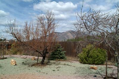 6752 E Vail Dr, Flagstaff, AZ 86004 photo 18
