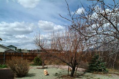 6752 E Vail Dr, Flagstaff, AZ 86004 photo 20