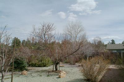 6752 E Vail Dr, Flagstaff, AZ 86004 photo 19