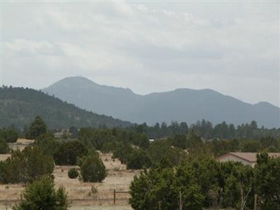 1539 E Prospect Ln, Williams, AZ 86046 photo 10