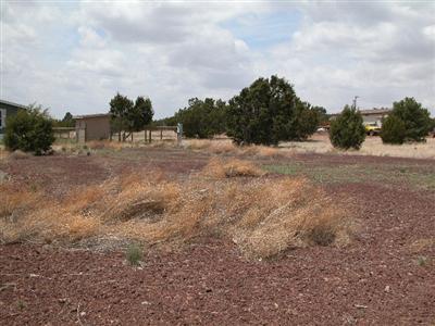 1539 E Prospect Ln, Williams, AZ 86046 photo 5