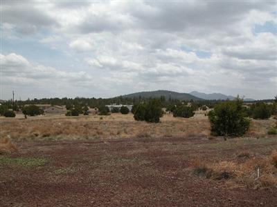 1539 E Prospect Ln, Williams, AZ 86046 photo 8