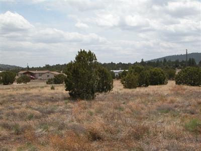 1539 E Prospect Ln, Williams, AZ 86046 photo 9