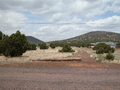 1539 E Prospect Ln, Williams, AZ 86046 photo 2