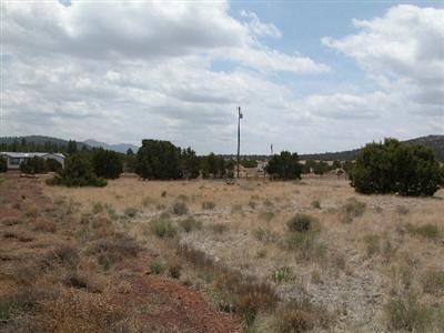 1539 E Prospect Ln, Williams, AZ 86046 photo 4