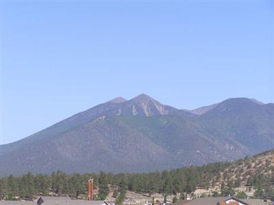 7805 E Mitchell Dr, Flagstaff, AZ 86004 photo 3