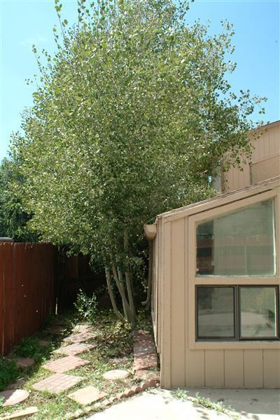 2545 E Cassidy Ln, Flagstaff, AZ 86004 photo 12