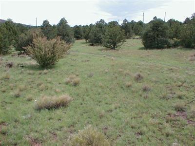 1702 W Antelope Ln, Williams, AZ 86046 photo 1