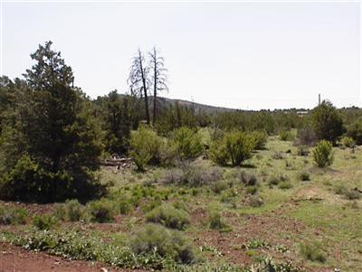 1702 W Antelope Ln, Williams, AZ 86046 photo 2