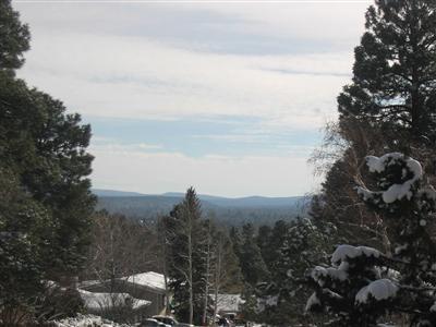 1925 E Andes Dr, Flagstaff, AZ 86004 photo 2