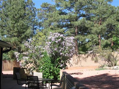 1925 E Andes Dr, Flagstaff, AZ 86004 photo 24