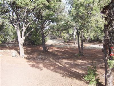 1204 E Chaparral Ln, Williams, AZ 86046 photo 14