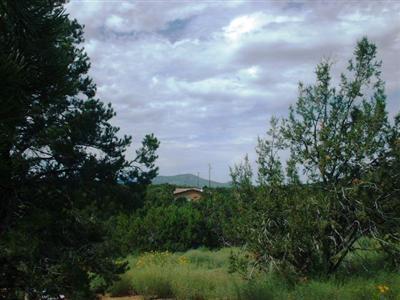 2224 E Clear Point Way, Williams, AZ 86046 photo 9