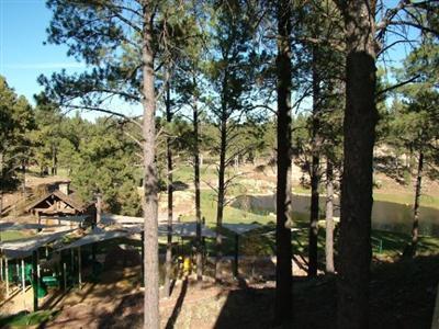 1782 Elysian Ct, Flagstaff, AZ 86001 photo 16