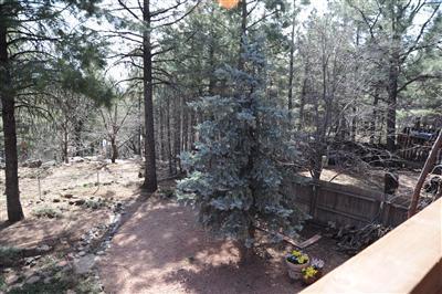 880 E David Dr, Flagstaff, AZ 86001 photo 34