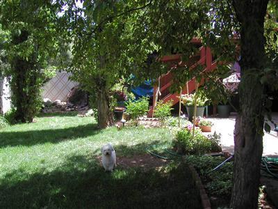 716 E Cherry Ave, Flagstaff, AZ 86001 photo 27