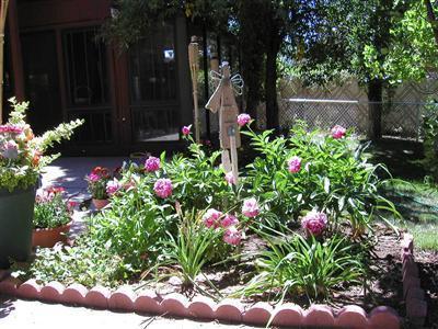 716 E Cherry Ave, Flagstaff, AZ 86001 photo 28