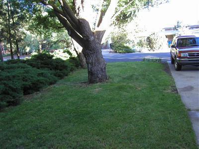 716 E Cherry Ave, Flagstaff, AZ 86001 photo 26