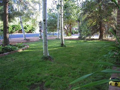 716 E Cherry Ave, Flagstaff, AZ 86001 photo 25
