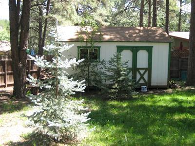 606 E Dohmen, Flagstaff, AZ 86001 photo 11