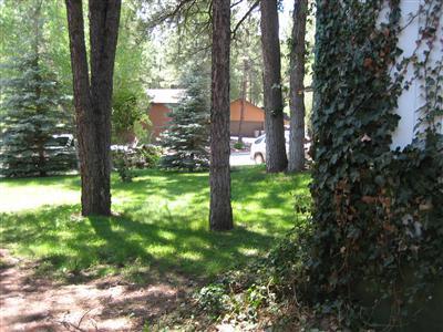 606 E Dohmen, Flagstaff, AZ 86001 photo 9