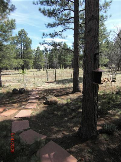 6143 E Olson Dr, Flagstaff, AZ 86004 photo 25