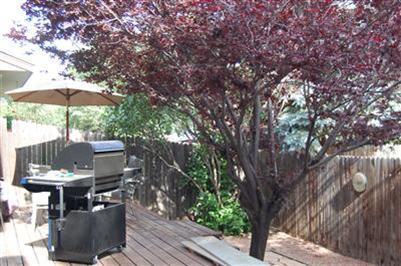 2425 Eva Loop, Flagstaff, AZ 86004 photo 5