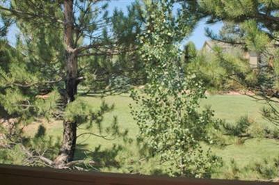 6405 E Willow Loop, Flagstaff, AZ 86004 photo 17
