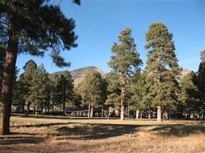 3008 E Mount Elden Dr, Flagstaff, AZ 86004 photo 9