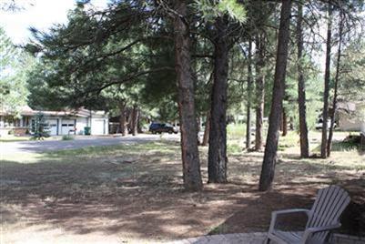 41 Pine Cone Dr, Flagstaff, AZ 86001 photo 31