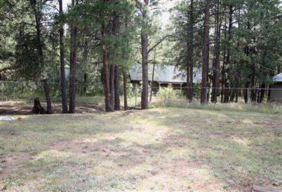 41 Pine Cone Dr, Flagstaff, AZ 86001 photo 28