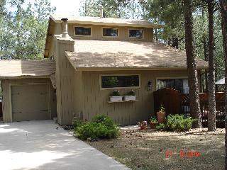 540 E Dohmen Dr, Flagstaff, AZ 86001 photo 1