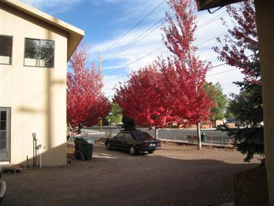 2116 E 6th Ave, Flagstaff, AZ 86004 photo 31