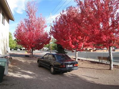 2116 E 6th Ave, Flagstaff, AZ 86004 photo 12