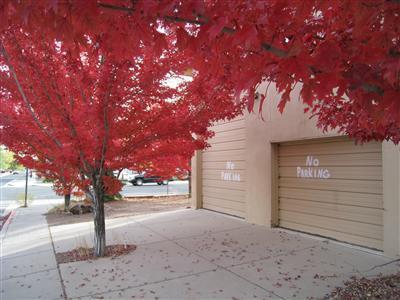 2116 E 6th Ave, Flagstaff, AZ 86004 photo 32